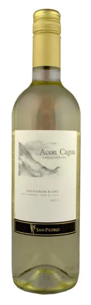 Acon Cagua Sauvignon Blanc, Central Valley, Chile.