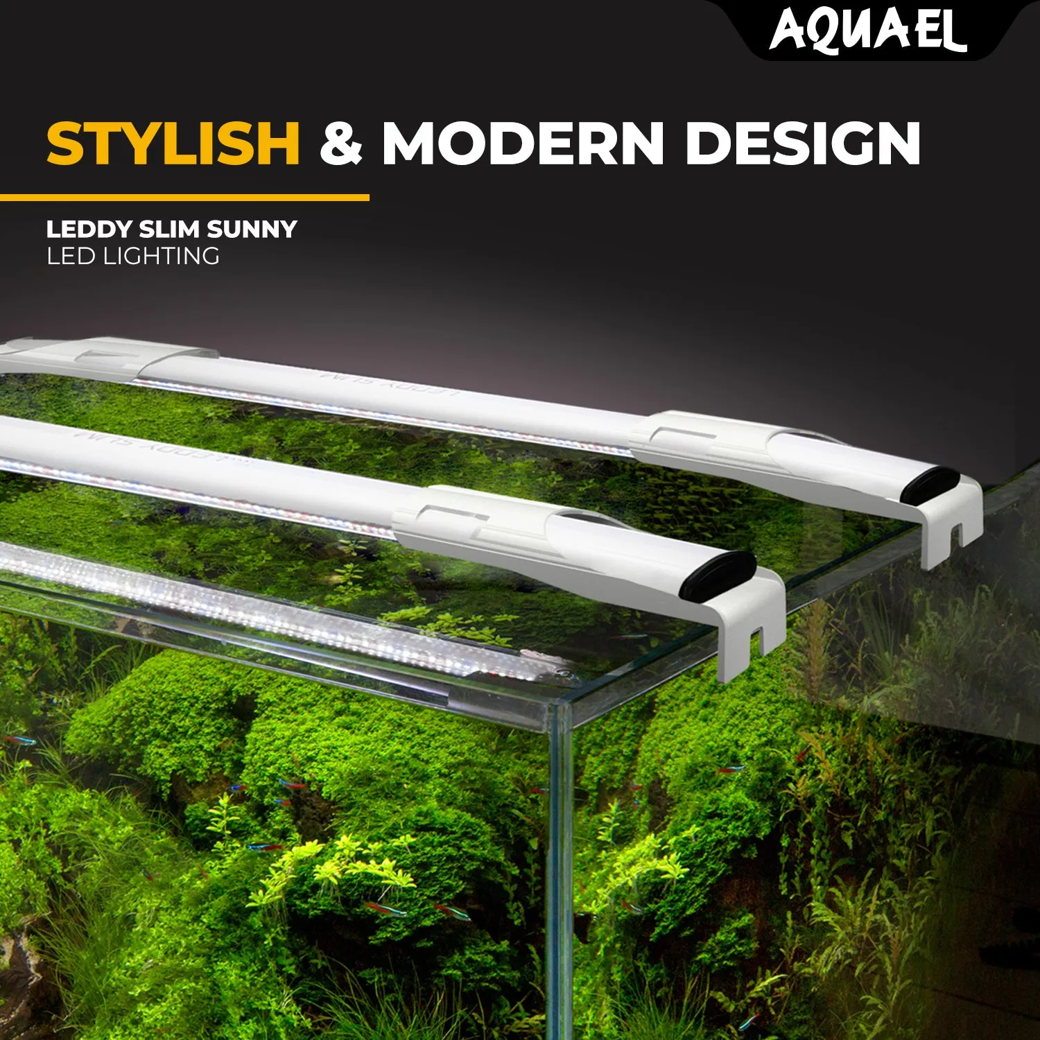 AQUAEL LEDDY SLIM