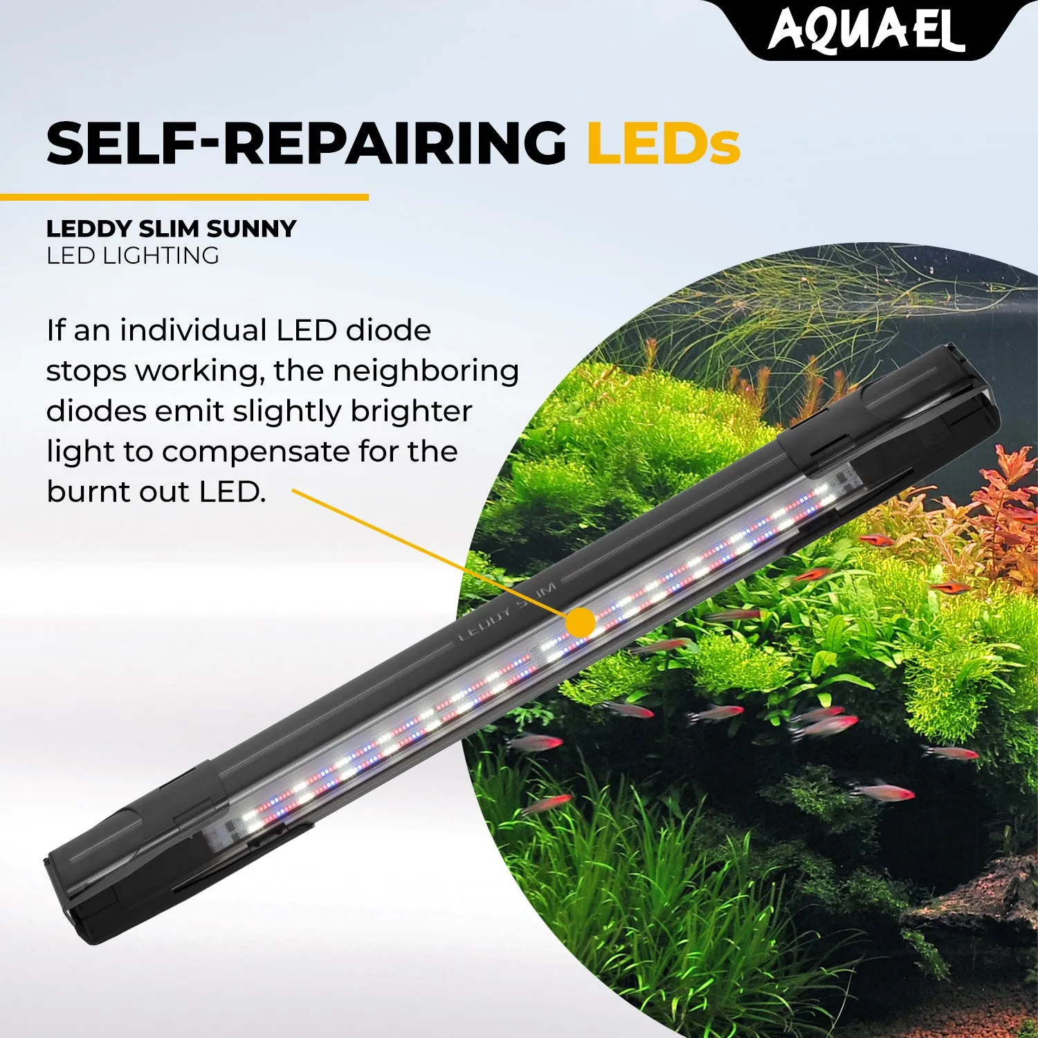 AQUAEL LEDDY SLIM