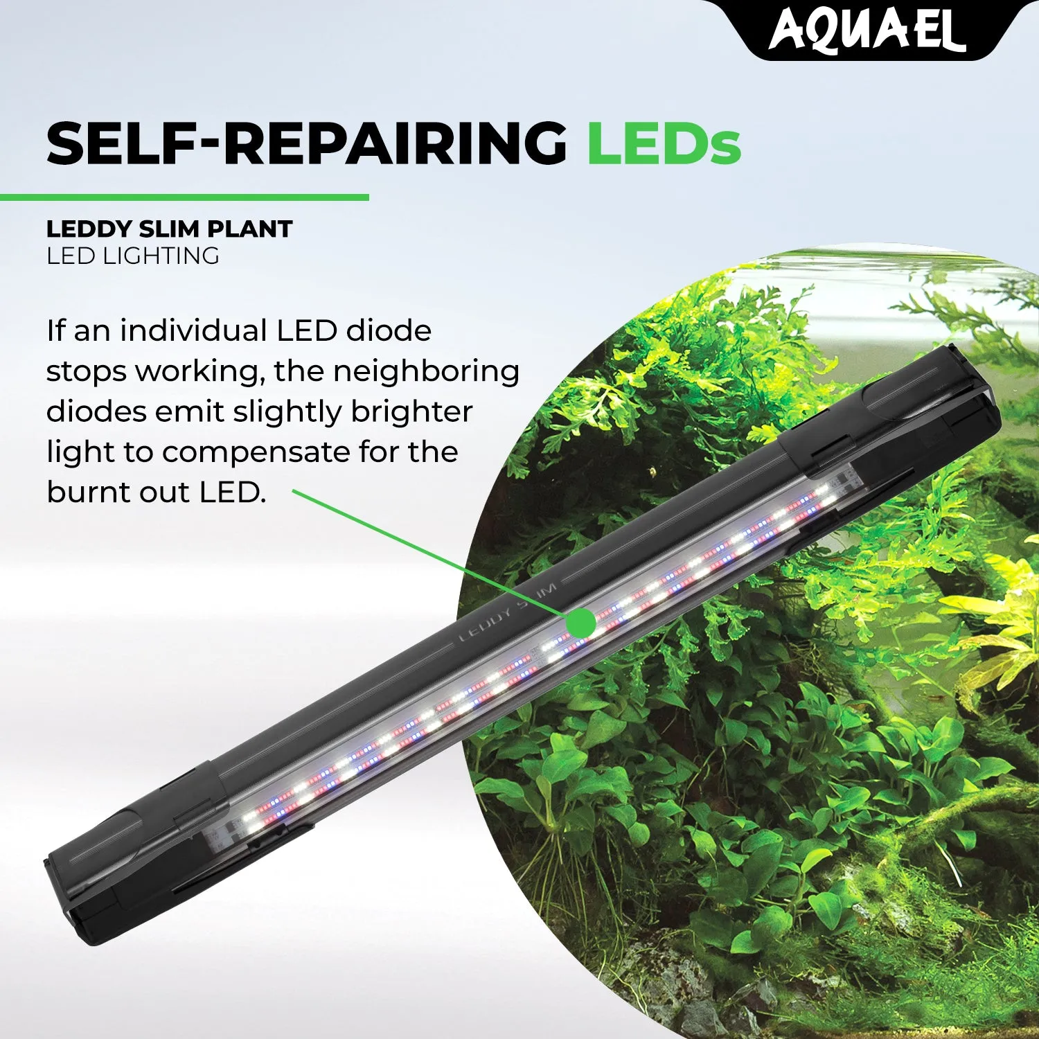 AQUAEL LEDDY SLIM