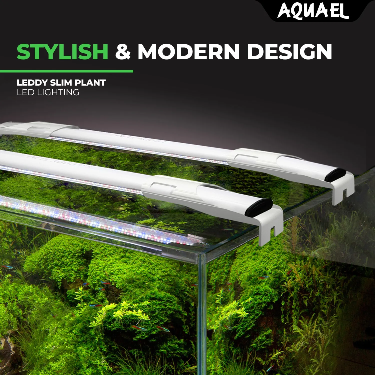 AQUAEL LEDDY SLIM