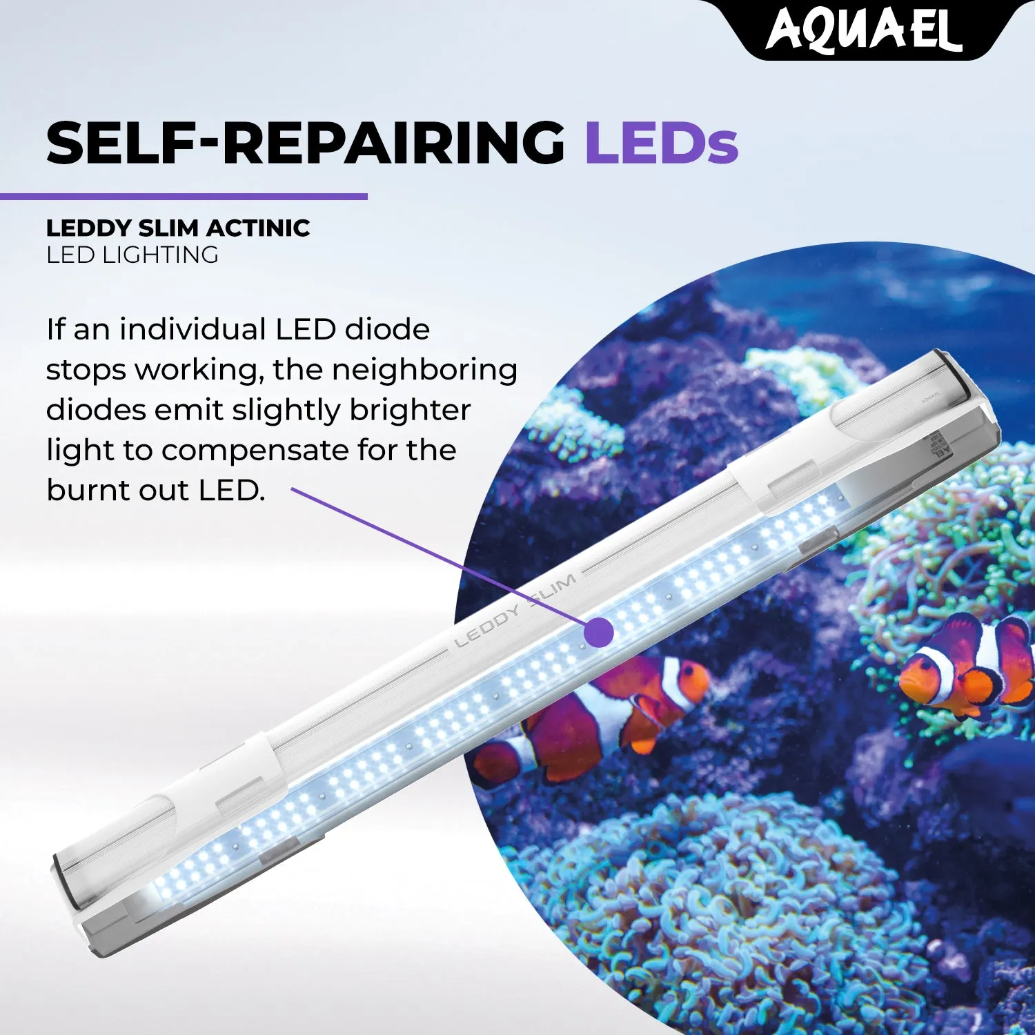 AQUAEL LEDDY SLIM
