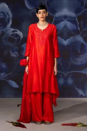 Chanderi Embroidered Red Pants