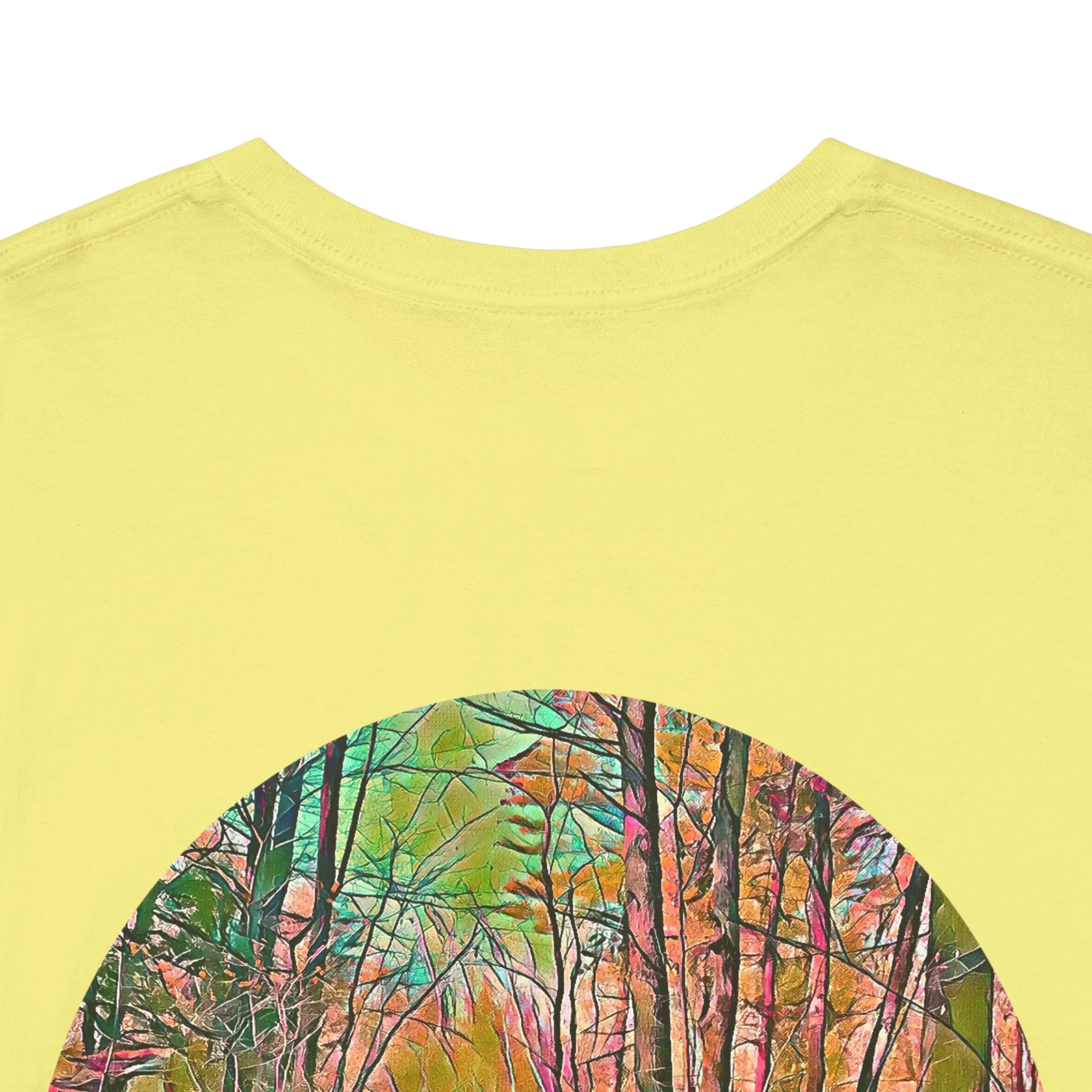 Gildan 5000 Unisex Adult Heavy Cotton Tee Available In Multiple Colors from the Scenery Series at Intriguing Vistas