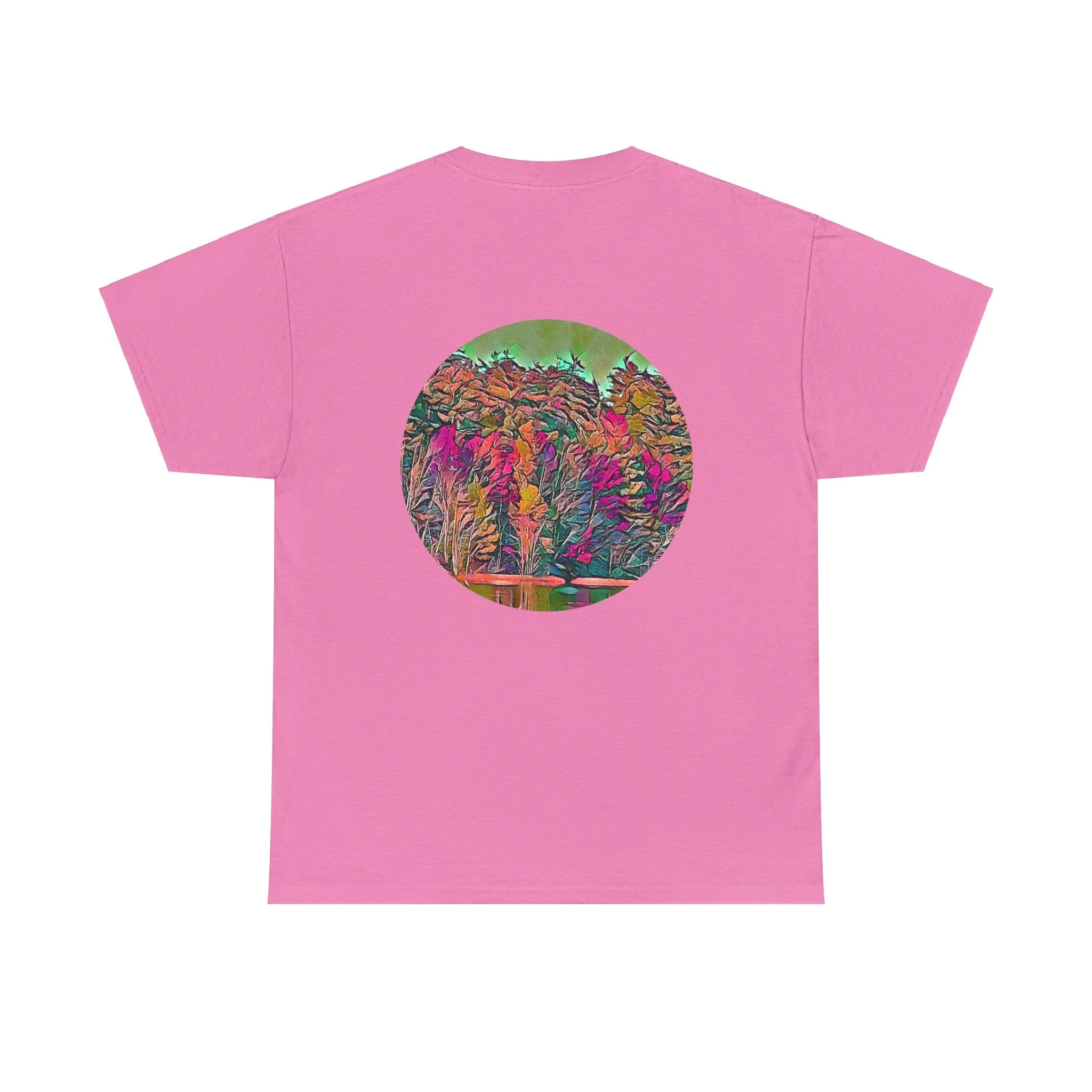 Gildan 5000 Unisex Adult Heavy Cotton Tee Available In Multiple Colors from the Scenery Series at Intriguing Vistas