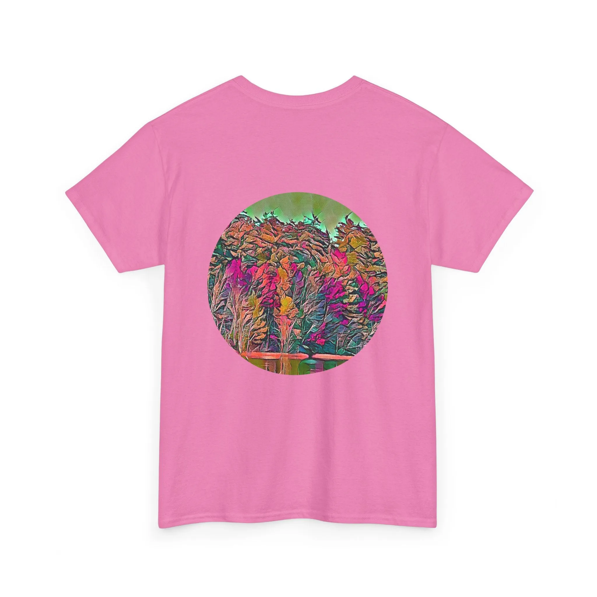 Gildan 5000 Unisex Adult Heavy Cotton Tee Available In Multiple Colors from the Scenery Series at Intriguing Vistas