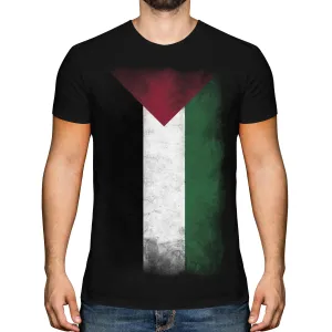 Palestine Faded Flag Mens T-Shirt Short Sleeve Casual Cotton O-Neck  T Shirt