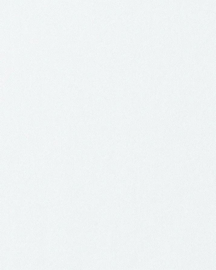 Thomas Mason White Twill 120s