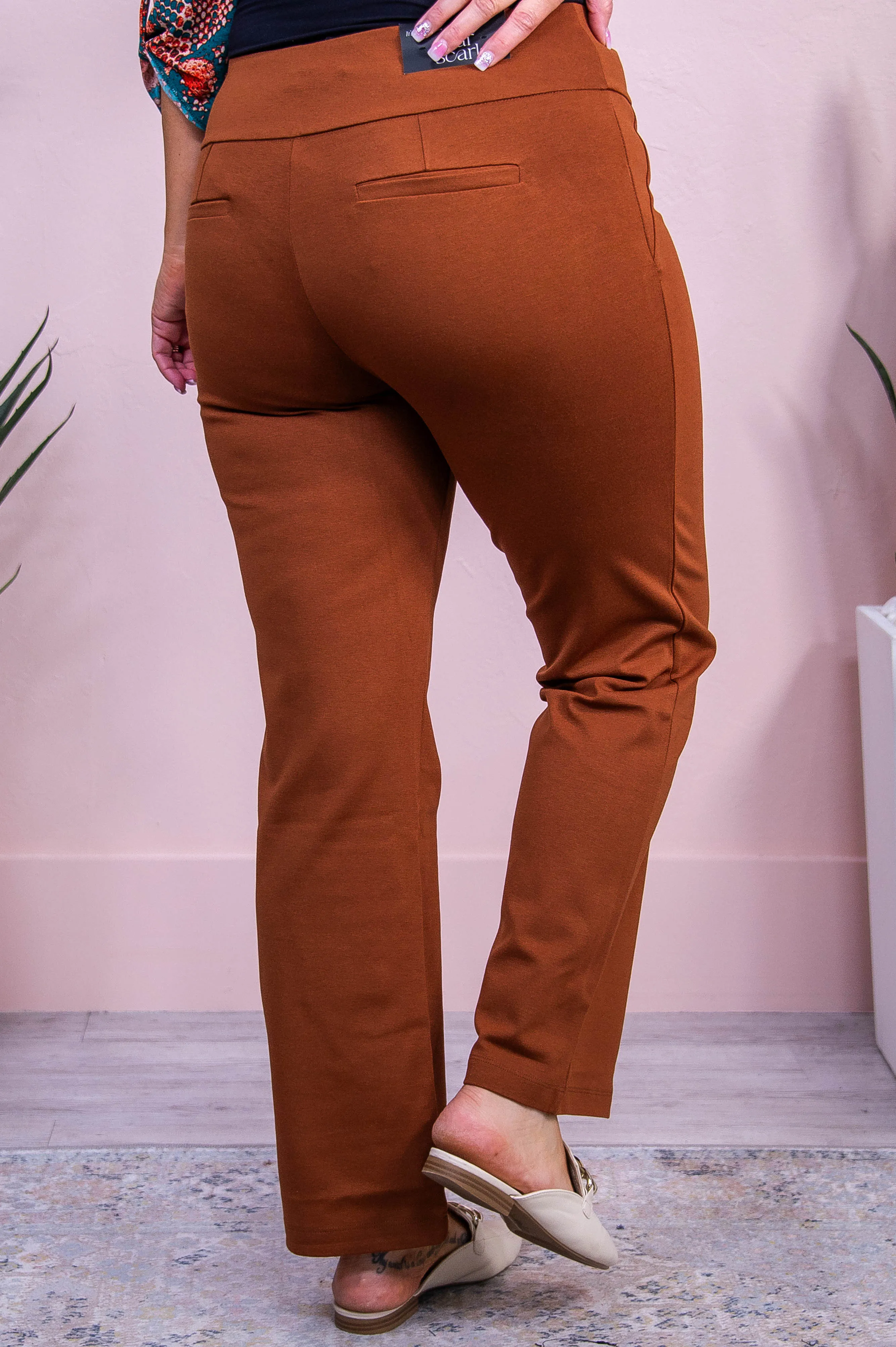 Under Autumn Skies Rust Solid Pants - PNT1675RU